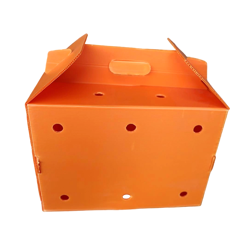 Nako-collapsible na Multi Air Hole Corrugated Plastic Pet Carrier