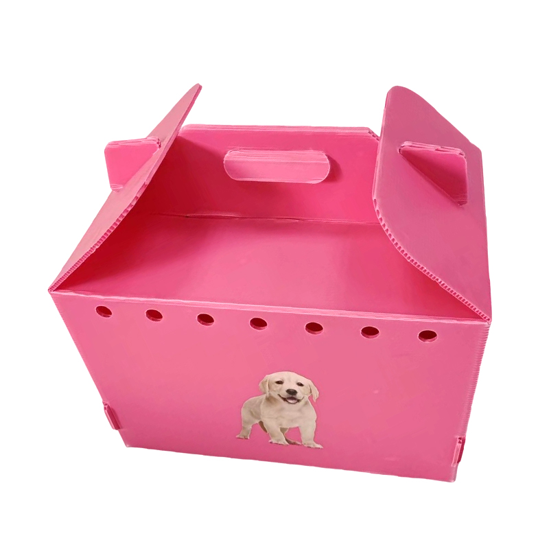 Nako-collapsible na Multi Air Hole Corrugated Plastic Pet Carrier