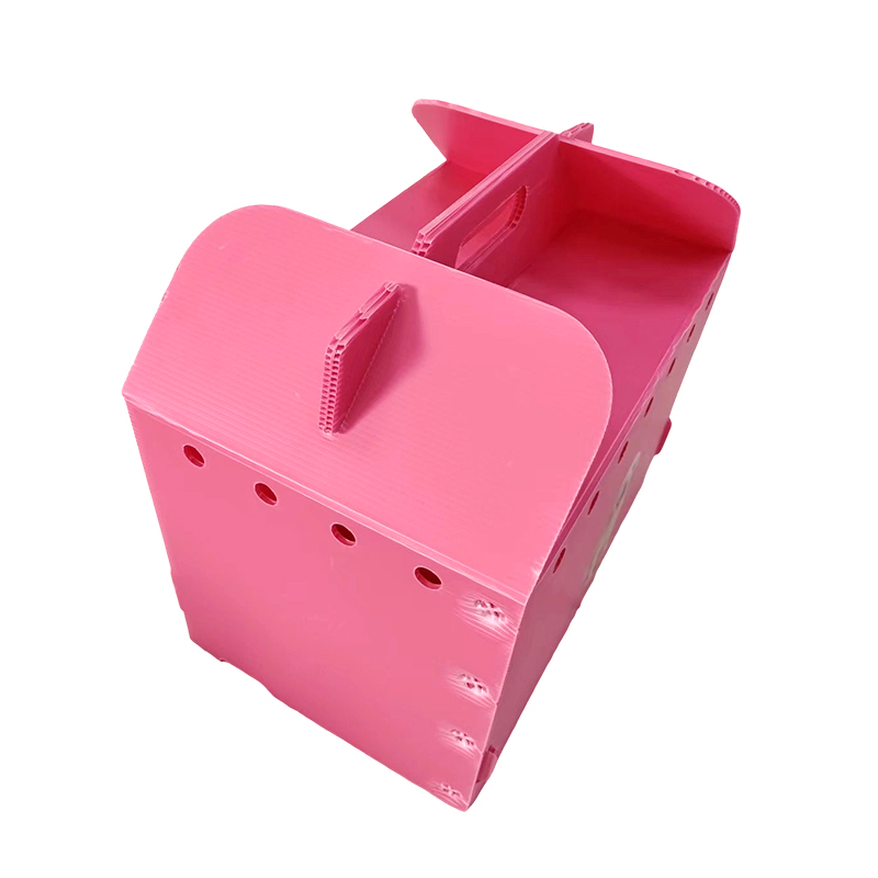 Nako-collapsible na Multi Air Hole Corrugated Plastic Pet Carrier