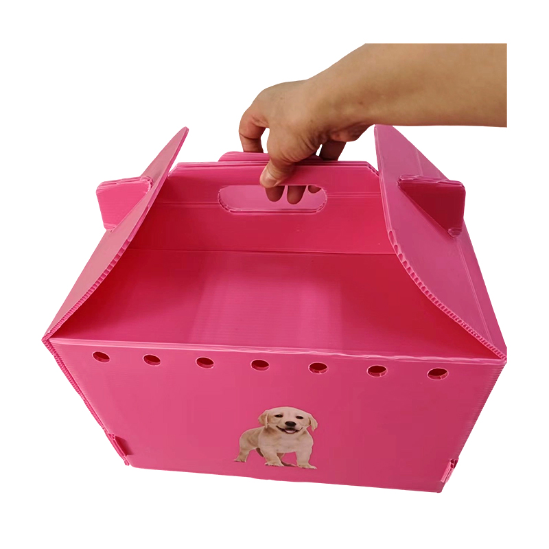 Nako-collapsible na Multi Air Hole Corrugated Plastic Pet Carrier