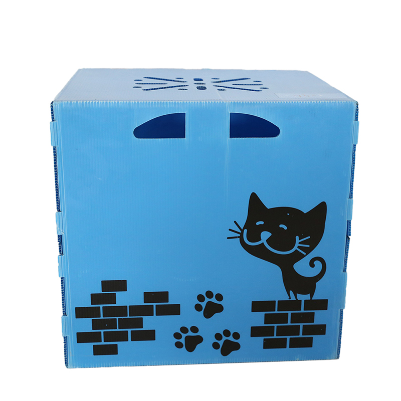 Nako-collapsible na Multi Air Hole Corrugated Plastic Pet Carrier