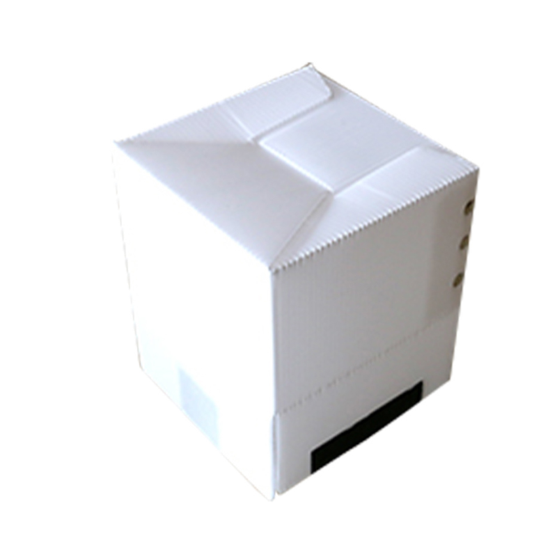 Square Recyclable PP Corrugated Hollow Sheet Box na may Velcro Fastener