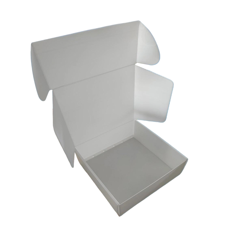 Matibay na Anti-Moisture Corrugated PP Plastic Airplane Mailer Box