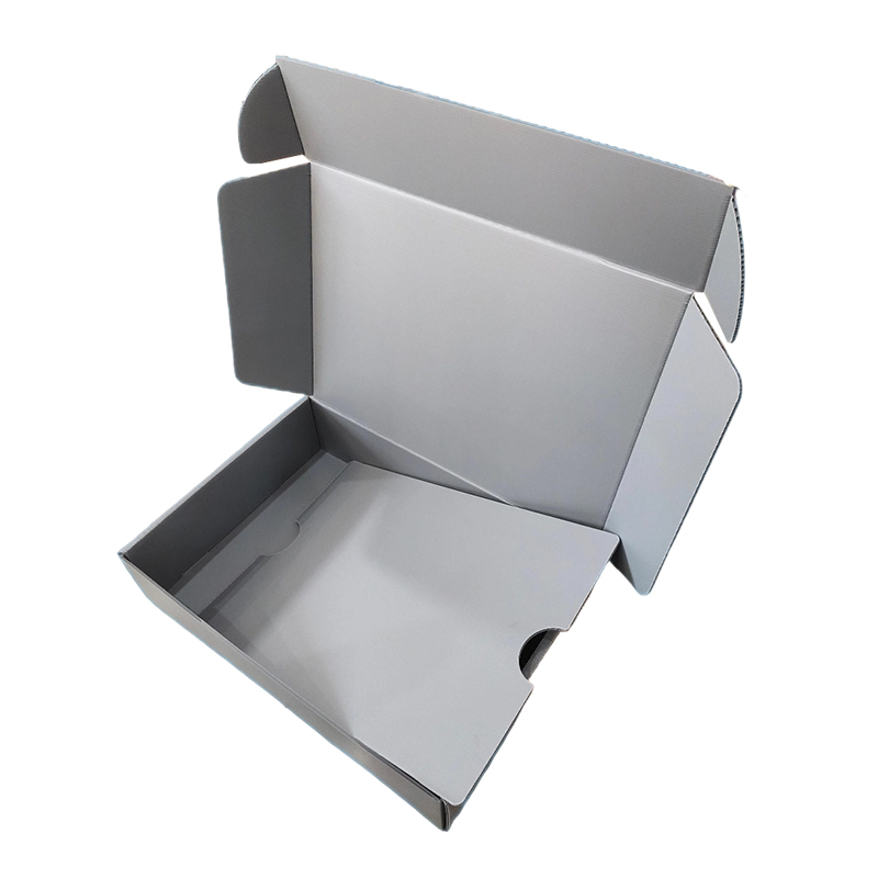 Matibay na Anti-Moisture Corrugated PP Plastic Airplane Mailer Box