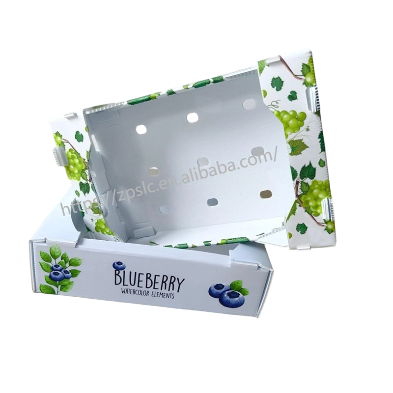 Foldable PP Corrugated Plastic Turnover Box na may Mga Butas sa Bentilasyon