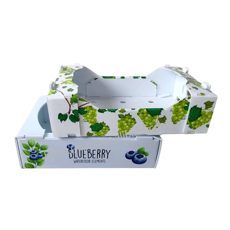 Foldable PP Corrugated Plastic Turnover Box na may Mga Butas sa Bentilasyon