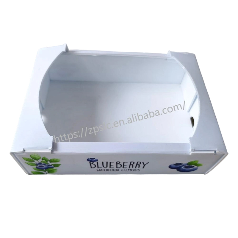 Foldable PP Corrugated Plastic Turnover Box na may Mga Butas sa Bentilasyon
