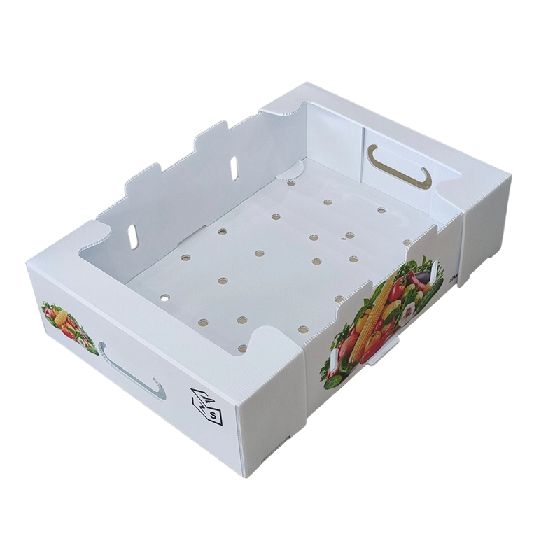Foldable PP Corrugated Plastic Turnover Box na may Mga Butas sa Bentilasyon