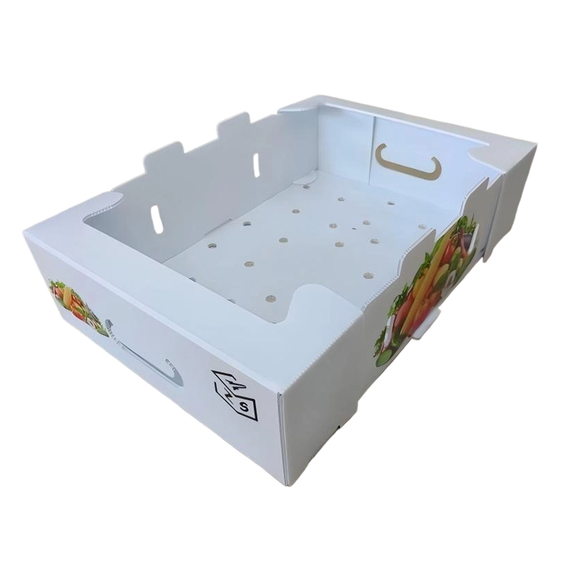 Foldable PP Corrugated Plastic Turnover Box na may Mga Butas sa Bentilasyon