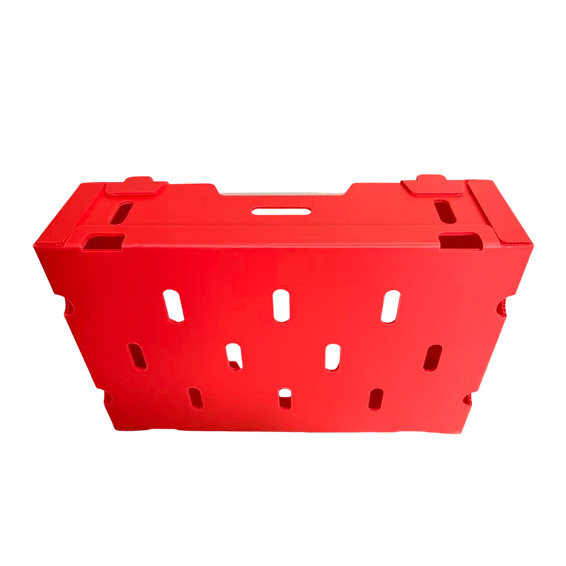 Foldable Printed PP Corrugated Box para sa Gulay at Prutas