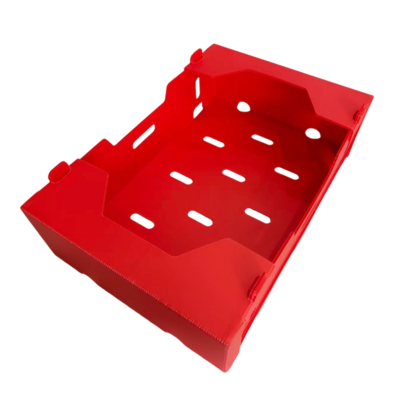 Foldable Printed PP Corrugated Box para sa Gulay at Prutas