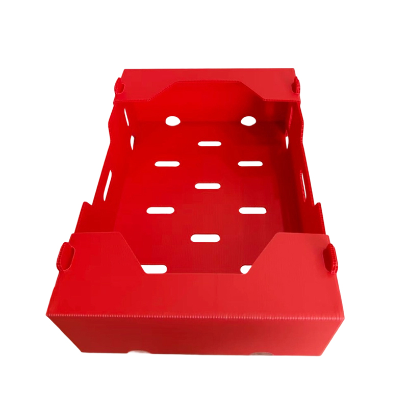 Foldable Printed PP Corrugated Box para sa Gulay at Prutas