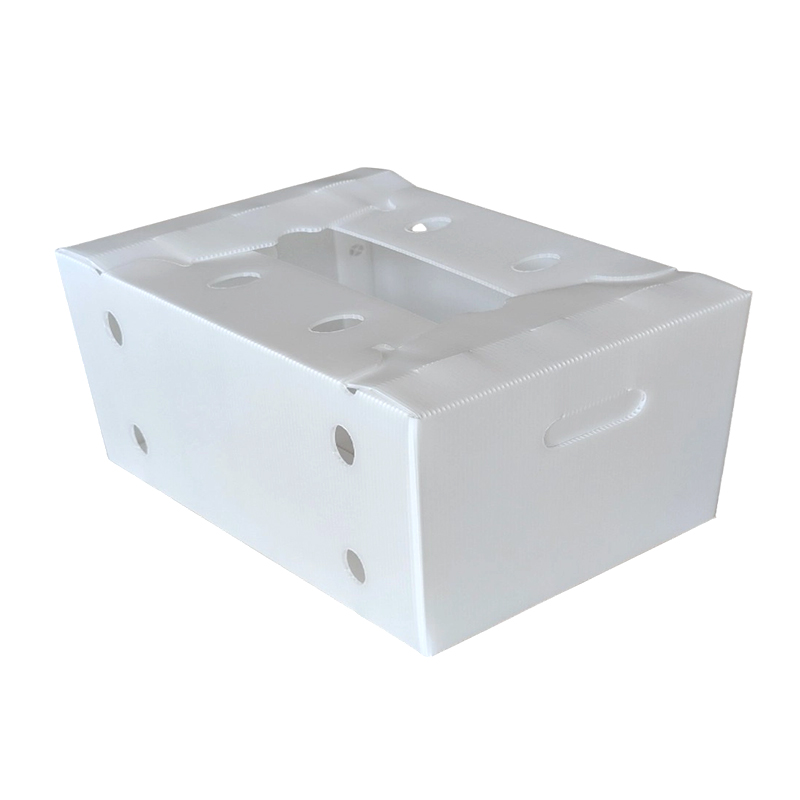 Buksan ang Top Stackable Plastic Corrugated Fruit Packing Box