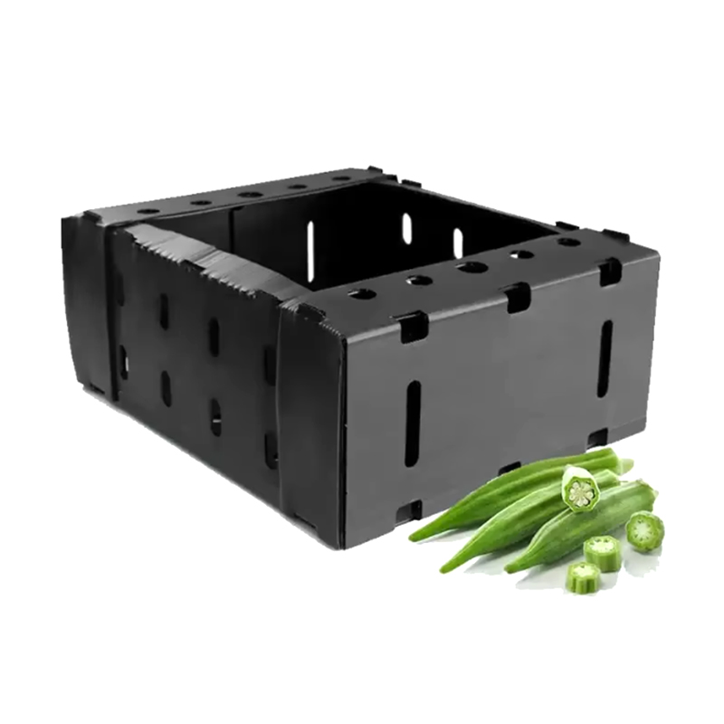 Buksan ang Top Stackable Plastic Corrugated Fruit Packing Box