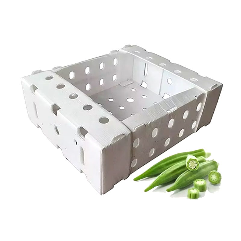 Buksan ang Top Stackable Plastic Corrugated Fruit Packing Box